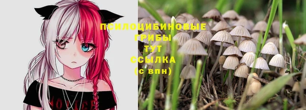 соль курить ск Алзамай